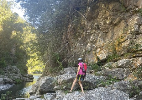 website graphics 3 main 1